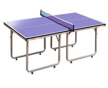 DHS Ping Pong Mini Table T919