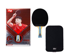 Ping Pong Paddle - DHS R6002 Box Set
